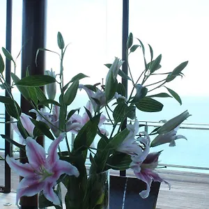 https://biu-biu-villa.hotelsseminyak.net